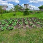 Шта да радите ако вам је земља уморна и тражи милост shta-da-radite-ako-vam-je-zemlja-umorna-i-trazi.jpg