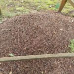 Зашто вам није потребна једна, већ две гомиле компоста на локацији? zashto-vam-nije-potrebna-jedna-vec-dve-gomile-komposta-na.jpg